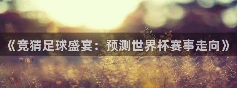 足球世预赛:《竞猜足球盛宴:预测世界杯赛事走向》