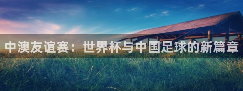 世界杯视频:中澳友谊赛:世界杯与中国足球的新篇章