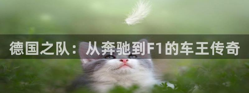 2026葡萄牙杯赛程表:德国之队:从奔驰到F1的车王传奇